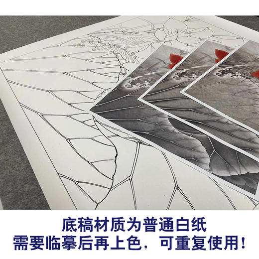 【有步骤、大彩图】李晓明工笔画白描底稿斗方小品《红荷艳阳天》红荷花初学者临摹花鸟线稿KE05 商品图3