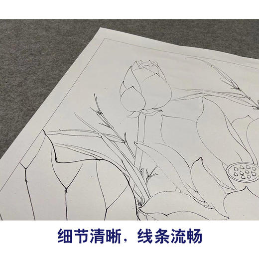 【有步骤、大彩图】李晓明工笔画白描底稿斗方小品《水上芙蓉》荷花初学者临摹花鸟线稿KE07 商品图4