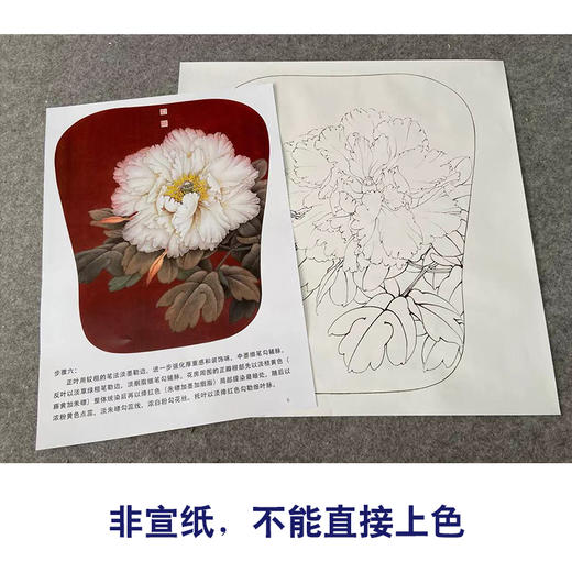 【有步骤、大彩图】李晓明工笔画白描底稿宫扇小品《玉板白》牡丹初学者临摹花鸟线稿KD10 商品图2