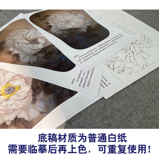 【有步骤、大彩图】李晓明工笔画白描底稿宫扇小品《琉璃冠珠》牡丹初学者临摹花鸟线稿KD08 商品图3
