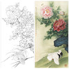 【有步骤、大彩图】李晓明工笔画白描底稿《富贵天香图》牡丹白鸽初学者临摹花鸟线稿KD39 商品缩略图0