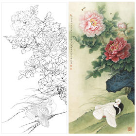 【有步骤、大彩图】李晓明工笔画白描底稿《富贵天香图》牡丹白鸽初学者临摹花鸟线稿KD39
