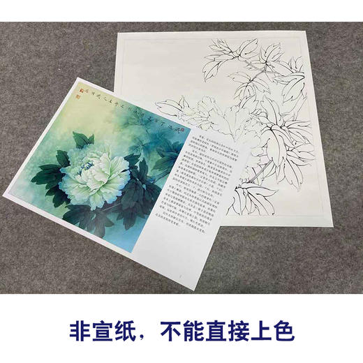【有步骤、大彩图】李晓明工笔画白描底稿斗方小品《玉立春风》牡丹初学者临摹花鸟线稿KD21 商品图2