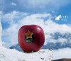 藏区 雪山礼·苹果 顺丰包邮 商品缩略图6