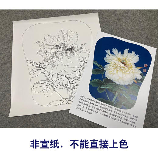 【有步骤、大彩图】李晓明工笔画白描底稿宫扇小品《香玉》牡丹初学者临摹花鸟线稿KD09 商品图2