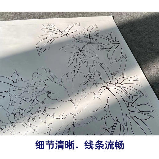 【有步骤、大彩图】李晓明工笔画白描底稿斗方小品《玉立春风》牡丹初学者临摹花鸟线稿KD16 商品图4