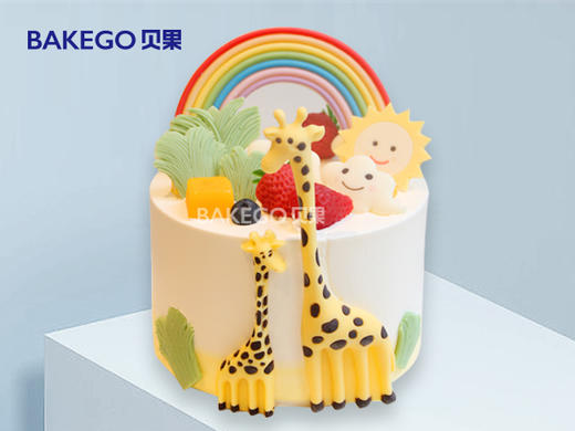 大梦想家 商品图0