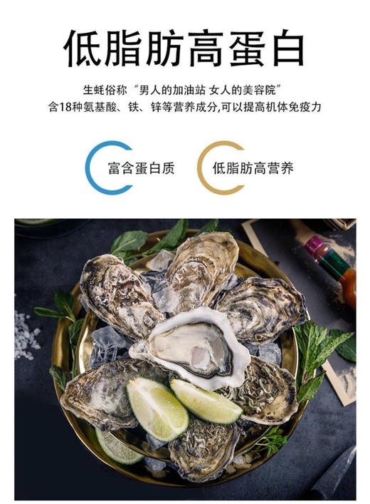【中国地理标识产品，乳山生蚝】超级肥美好吃，现捞现发，5斤装/10斤装任选。 商品图10