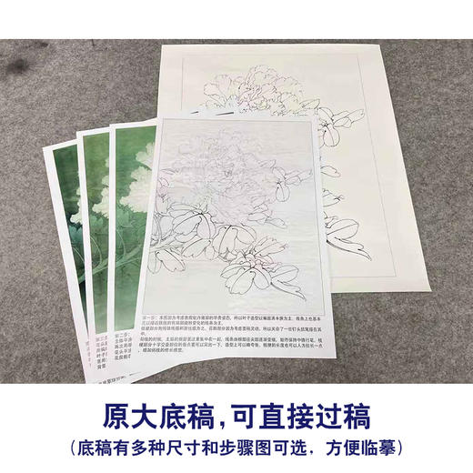 【有步骤、大彩图】李晓明工笔画白描底稿《牡丹图》初学者临摹花鸟线稿KD37 商品图1