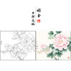 【有步骤、大彩图】李晓明工笔画白描底稿斗方小品《赵粉》牡丹初学者临摹花鸟线稿KD44 商品缩略图0