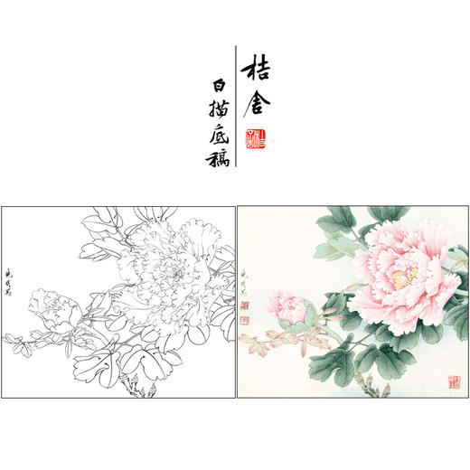 【有步骤、大彩图】李晓明工笔画白描底稿斗方小品《赵粉》牡丹初学者临摹花鸟线稿KD44 商品图0
