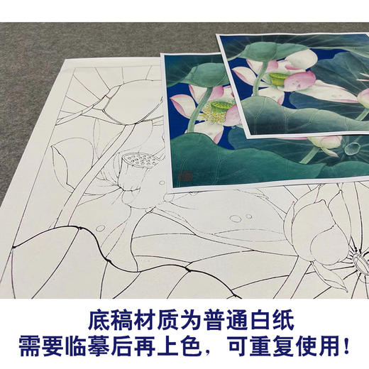 【有步骤、大彩图】李晓明工笔画白描底稿斗方小品《心莲若梦》荷花蜻蜓初学者临摹花鸟线稿KE08 商品图3