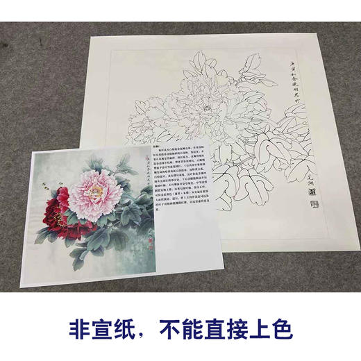 【有步骤、大彩图】李晓明工笔画白描底稿斗方小品《江东双娇》牡丹初学者临摹花鸟线稿KD26 商品图2