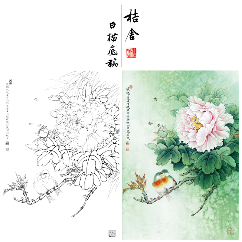 【有步骤、大彩图】李晓明工笔画白描底稿《相思瑶池春》牡丹相思鸟初学者临摹花鸟线稿KD20