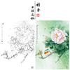【有步骤、大彩图】李晓明工笔画白描底稿《相思瑶池春》牡丹相思鸟初学者临摹花鸟线稿KD20 商品缩略图0