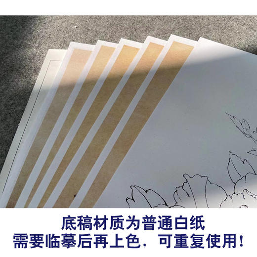 【有步骤、大彩图】李晓明工笔画白描底稿《五月王红》牡丹雀鸟初学者临摹花鸟线稿KD15 商品图3