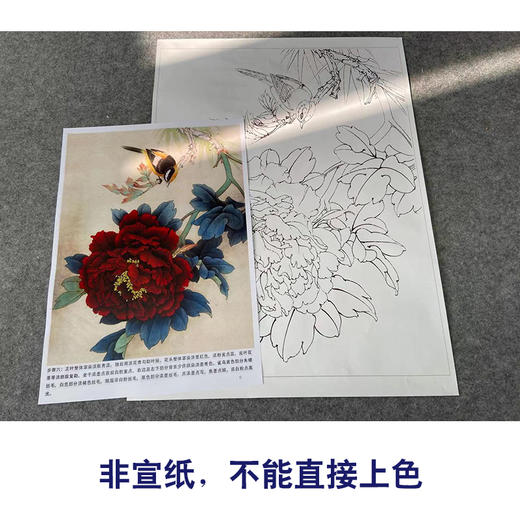 【有步骤、大彩图】李晓明工笔画白描底稿《五月王红》牡丹雀鸟初学者临摹花鸟线稿KD15 商品图2