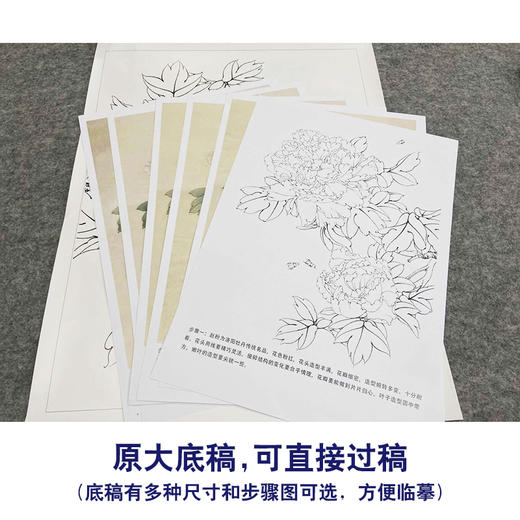 【有步骤、大彩图】李晓明工笔画白描底稿《娇娥粉黛》牡丹初学者临摹花鸟线稿KD13 商品图1