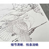 【有步骤、大彩图】李晓明工笔画白描底稿《富贵天香图》牡丹白鸽初学者临摹花鸟线稿KD39 商品缩略图4