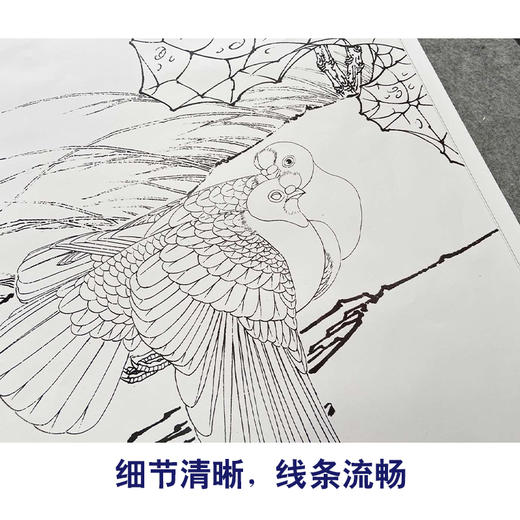 【有步骤、大彩图】李晓明工笔画白描底稿《富贵天香图》牡丹白鸽初学者临摹花鸟线稿KD39 商品图4