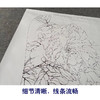 【有步骤、大彩图】李晓明工笔画白描底稿宫扇小品《琉璃冠珠》牡丹初学者临摹花鸟线稿KD08 商品缩略图4