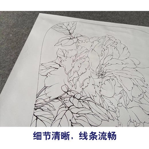 【有步骤、大彩图】李晓明工笔画白描底稿宫扇小品《琉璃冠珠》牡丹初学者临摹花鸟线稿KD08 商品图4