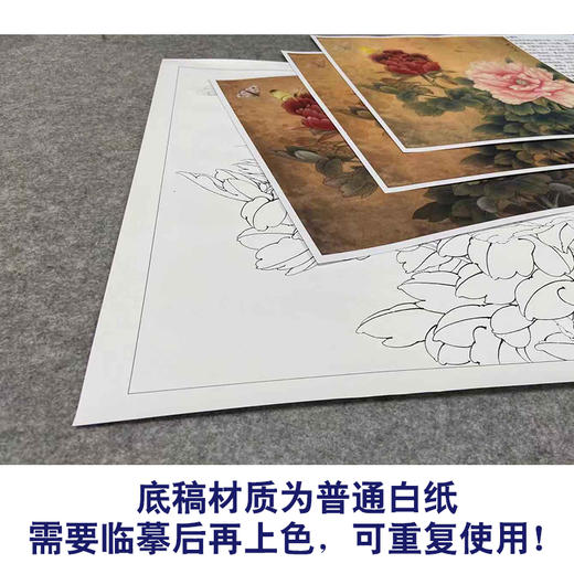 【有步骤、大彩图】李晓明工笔画白描底稿斗方小品《飞艳红妆》牡丹初学者临摹花鸟线稿KD28 商品图3