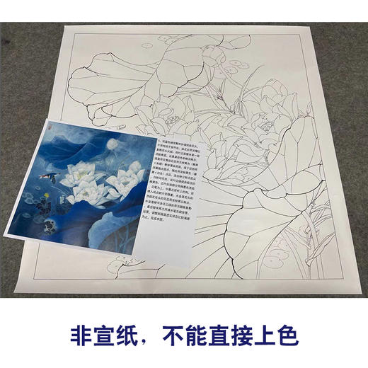 【有步骤、大彩图】李晓明工笔画白描底稿斗方小品《白荷蓝翠图》荷花翠鸟初学者临摹花鸟线稿KE03 商品图2