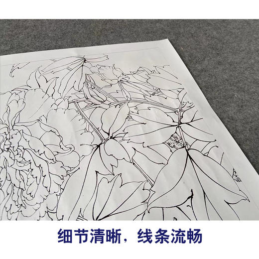 【有步骤、大彩图】李晓明工笔画白描底稿斗方小品《大宋紫》牡丹初学者临摹花鸟线稿KD11 商品图4
