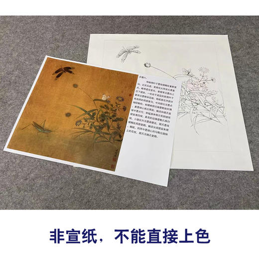 【有步骤、大彩图】李晓明工笔画白描底稿斗方小品《临宋写生草虫图》蜻蜓蚱蜢初学者临摹花鸟线稿KC37 商品图2