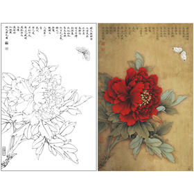 【有步骤、大彩图】李晓明工笔画白描底稿《王红白粉蝶》牡丹初学者临摹花鸟线稿KD18