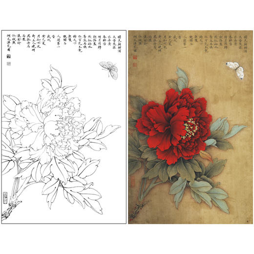 【有步骤、大彩图】李晓明工笔画白描底稿《王红白粉蝶》牡丹初学者临摹花鸟线稿KD18 商品图0