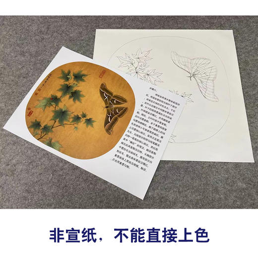 【有步骤、大彩图】李晓明工笔画白描底稿圆形小品《青枫巨蝶图》蝴蝶枫树初学者临摹花鸟线稿KC35 商品图2