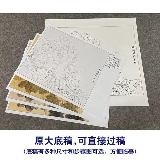 【有步骤、大彩图】李晓明工笔画白描底稿斗方小品《状元红》牡丹初学者临摹花鸟线稿KD45 商品图1