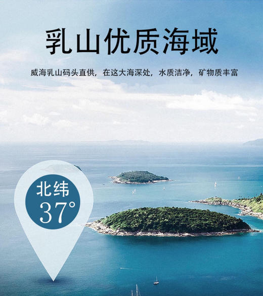 【中国地理标识产品，乳山生蚝】超级肥美好吃，现捞现发，5斤装/10斤装任选。 商品图9