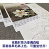 【有步骤、大彩图】李晓明工笔画白描底稿小品《紫荷红蜻蜓》荷花初学者临摹花鸟线稿KE09 商品缩略图3