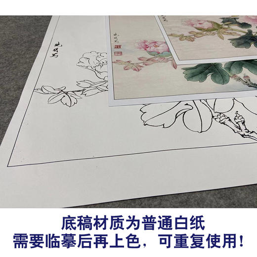 【有步骤、大彩图】李晓明工笔画白描底稿斗方小品《赵粉》牡丹初学者临摹花鸟线稿KD44 商品图3