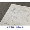 【有步骤、大彩图】李晓明工笔画白描底稿斗方小品《心莲若梦》荷花蜻蜓初学者临摹花鸟线稿KE08 商品缩略图4
