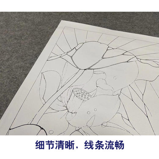 【有步骤、大彩图】李晓明工笔画白描底稿斗方小品《心莲若梦》荷花蜻蜓初学者临摹花鸟线稿KE08 商品图4