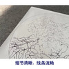 【有步骤、大彩图】李晓明工笔画白描底稿圆形小品《王者姚黄牡丹》牡丹初学者临摹花鸟线稿KD06 商品缩略图4