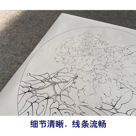 【有步骤、大彩图】李晓明工笔画白描底稿圆形小品《王者姚黄牡丹》牡丹初学者临摹花鸟线稿KD06 商品图4