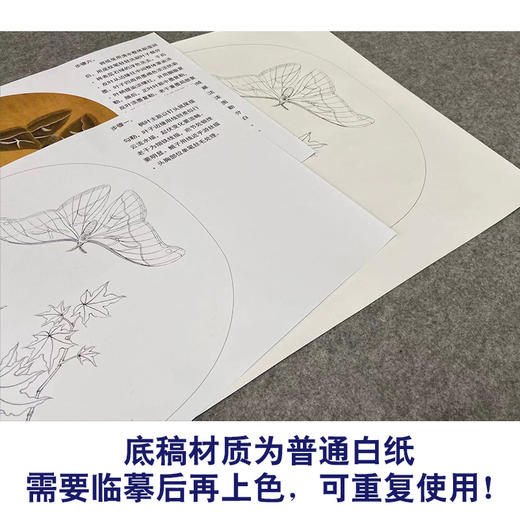 【有步骤、大彩图】李晓明工笔画白描底稿圆形小品《青枫巨蝶图》蝴蝶枫树初学者临摹花鸟线稿KC35 商品图3