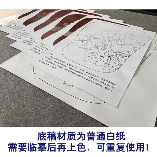 【有步骤、大彩图】李晓明工笔画白描底稿宫扇小品《玉板白》牡丹初学者临摹花鸟线稿KD10 商品图3