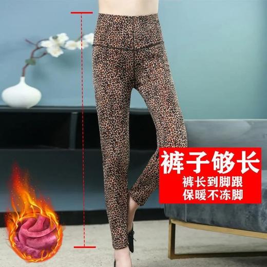 JXG-2021年秋冬季豹纹打底衫加绒加厚外穿百搭高腰弹力显瘦小脚保暖裤 商品图3