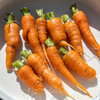 橙色胡萝卜 Carrot 商品缩略图1