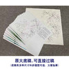 【有步骤、大彩图】李晓明工笔画白描底稿斗方小品《玉立春风》牡丹初学者临摹花鸟线稿KD21 商品缩略图1