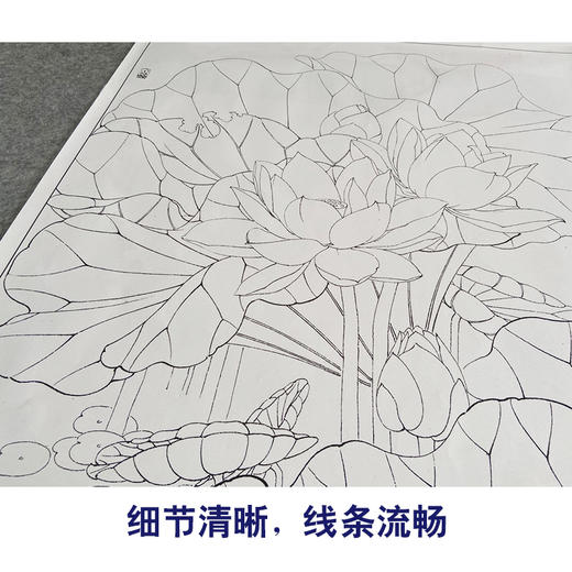 【有步骤、大彩图】李晓明工笔画白描底稿《荷塘鸳鸯图》荷花初学者临摹花鸟线稿KE02 商品图4