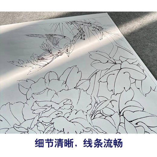 【有步骤、大彩图】李晓明工笔画白描底稿《五月王红》牡丹雀鸟初学者临摹花鸟线稿KD15 商品图4