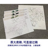 【有步骤、大彩图】李晓明工笔画白描底稿斗方小品《赵粉》牡丹初学者临摹花鸟线稿KD44 商品缩略图1
