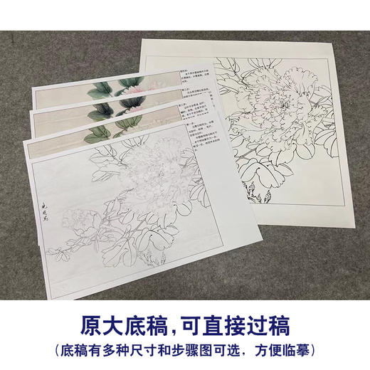 【有步骤、大彩图】李晓明工笔画白描底稿斗方小品《赵粉》牡丹初学者临摹花鸟线稿KD44 商品图1
